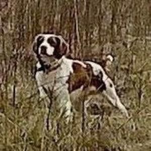 Meet your Posher, Stanley